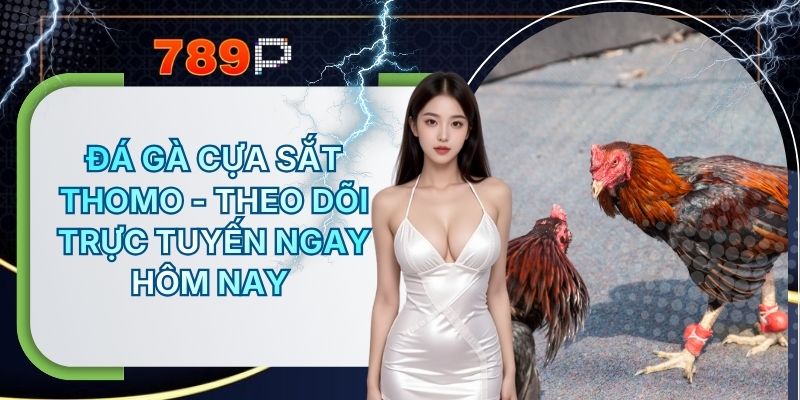 Đá Gà Cựa Sắt Thomo - Theo Dõi Trực Tuyến Tại 789P Ngay Hôm Nay
