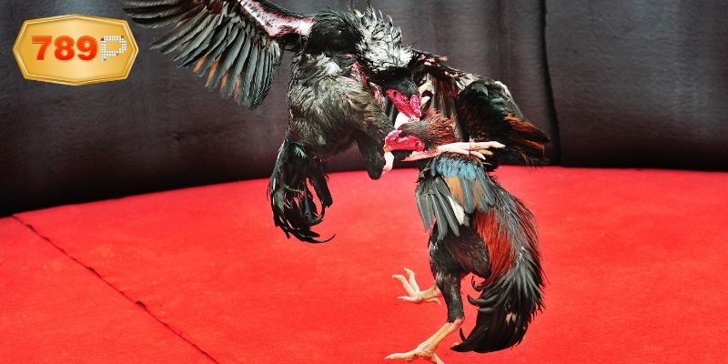 Một vài điểm cần lưu ý khi trải nghiệm